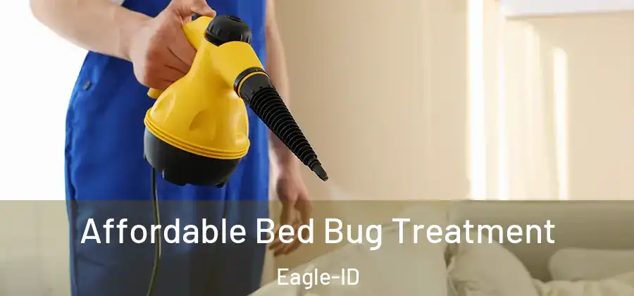 Affordable Bed Bug Treatment Eagle-ID