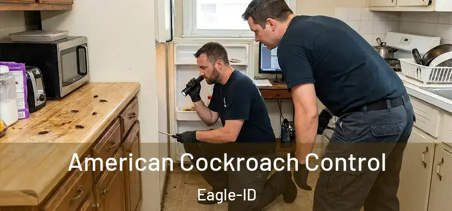 American Cockroach Control Eagle-ID