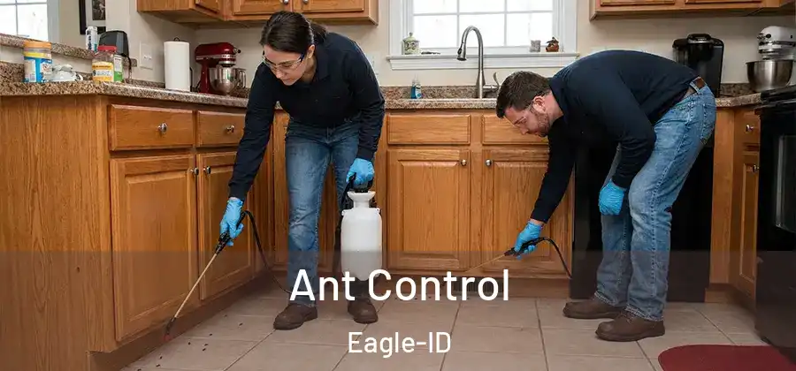 Ant Control Eagle-ID