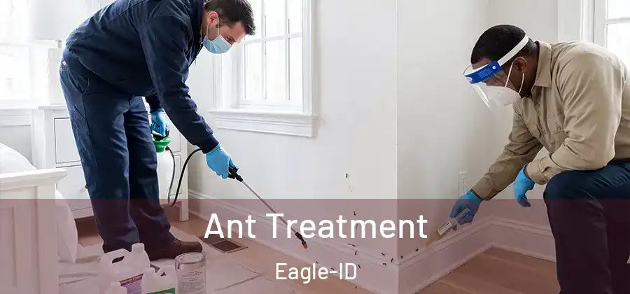 Ant Treatment Eagle-ID