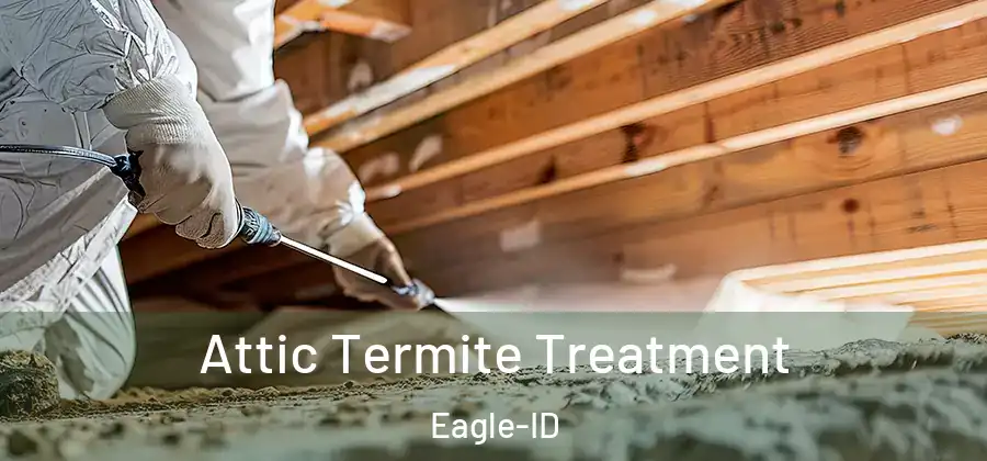 Attic Termite Treatment Eagle-ID