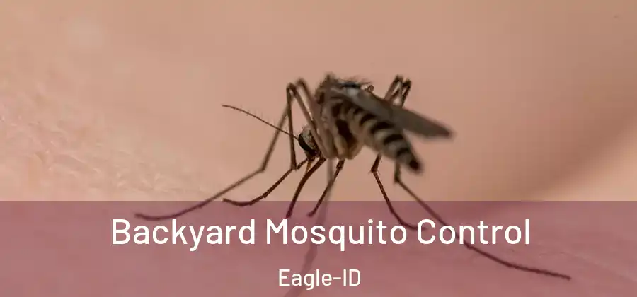 Backyard Mosquito Control Eagle-ID