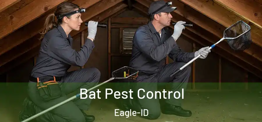 Bat Pest Control Eagle-ID