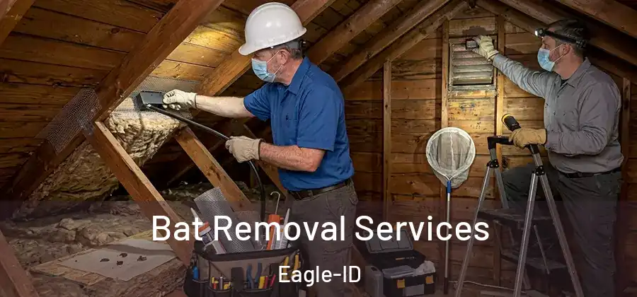 Bat Removal Services Eagle-ID