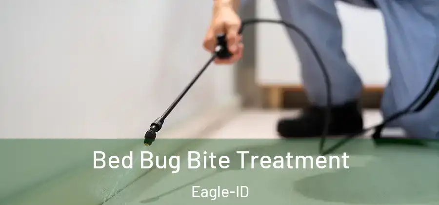  Bed Bug Bite Treatment Eagle-ID