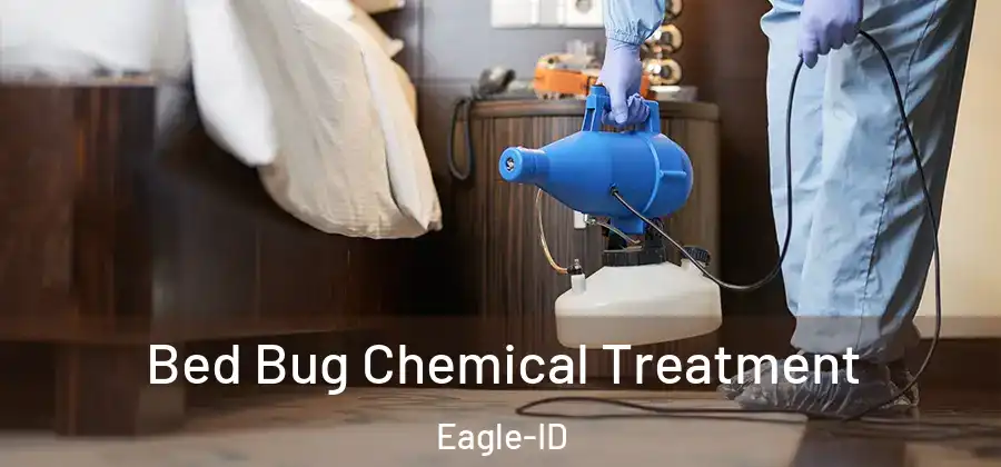 Bed Bug Chemical Treatment Eagle-ID