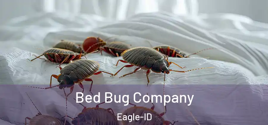 Bed Bug Company Eagle-ID