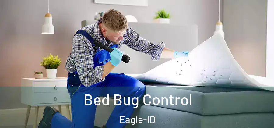  Bed Bug Control Eagle-ID