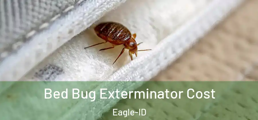 Bed Bug Exterminator Cost Eagle-ID