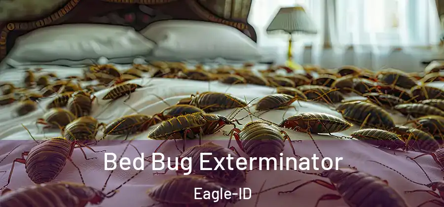 Bed Bug Exterminator Eagle-ID