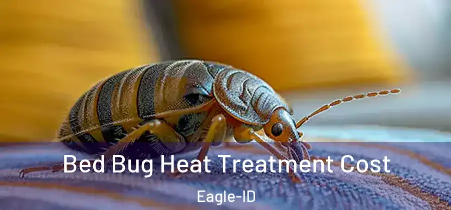 Bed Bug Heat Treatment Cost Eagle-ID