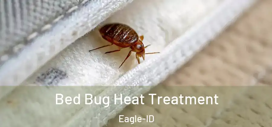 Bed Bug Heat Treatment Eagle-ID