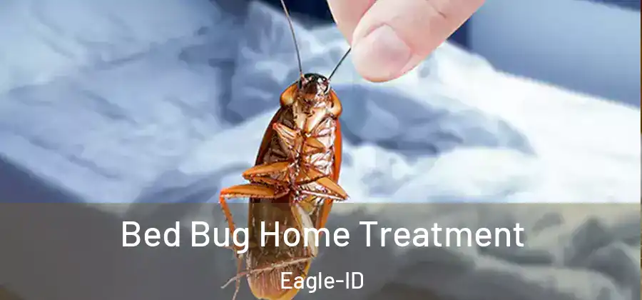 Bed Bug Home Treatment Eagle-ID