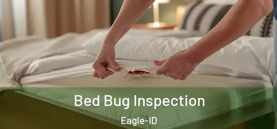 Bed Bug Inspection Eagle-ID