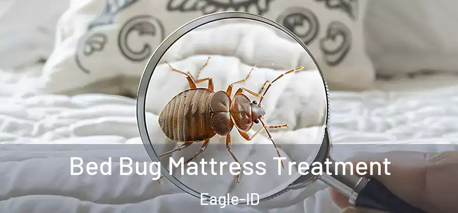 Bed Bug Mattress Treatment Eagle-ID