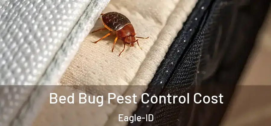  Bed Bug Pest Control Cost Eagle-ID