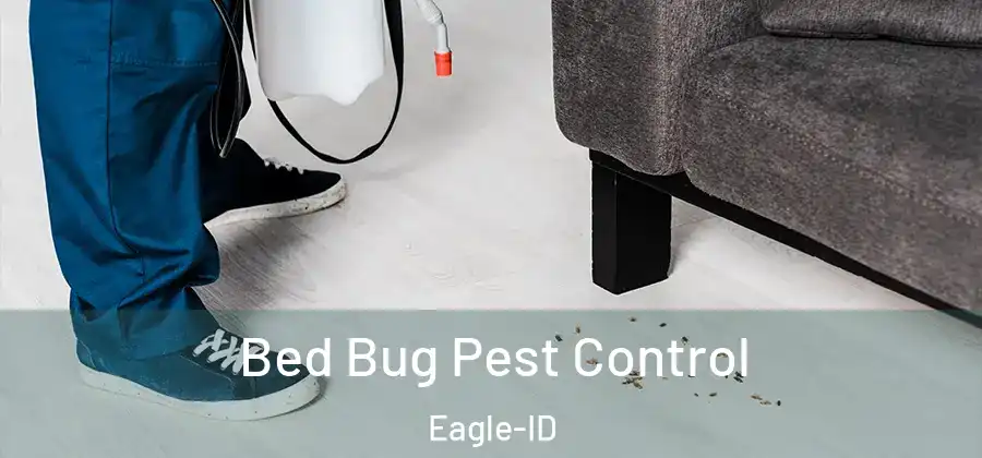 Bed Bug Pest Control Eagle-ID