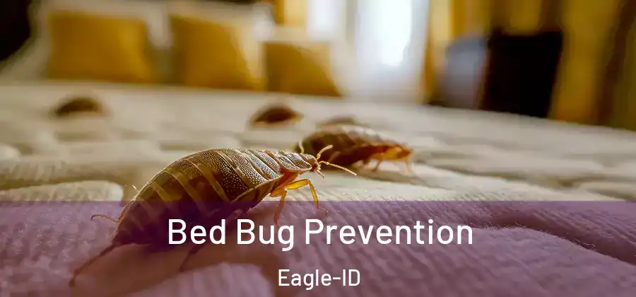  Bed Bug Prevention Eagle-ID