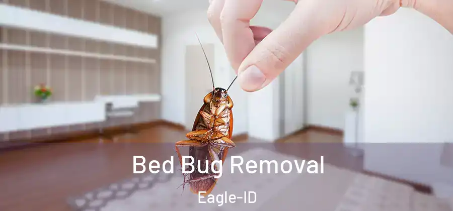  Bed Bug Removal Eagle-ID