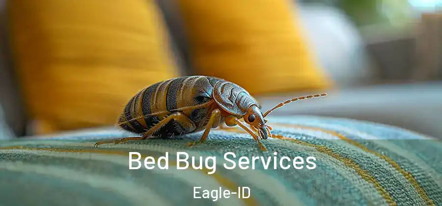 Bed Bug Services Eagle-ID