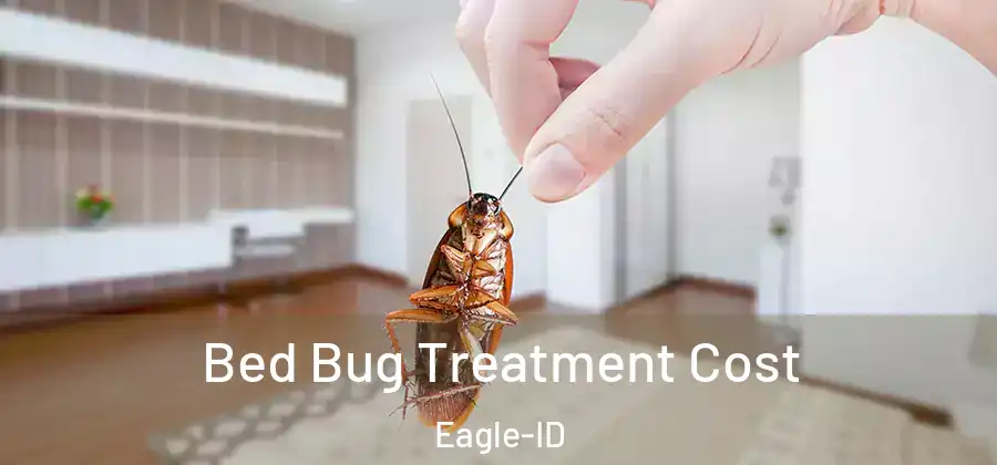 Bed Bug Treatment Cost Eagle-ID