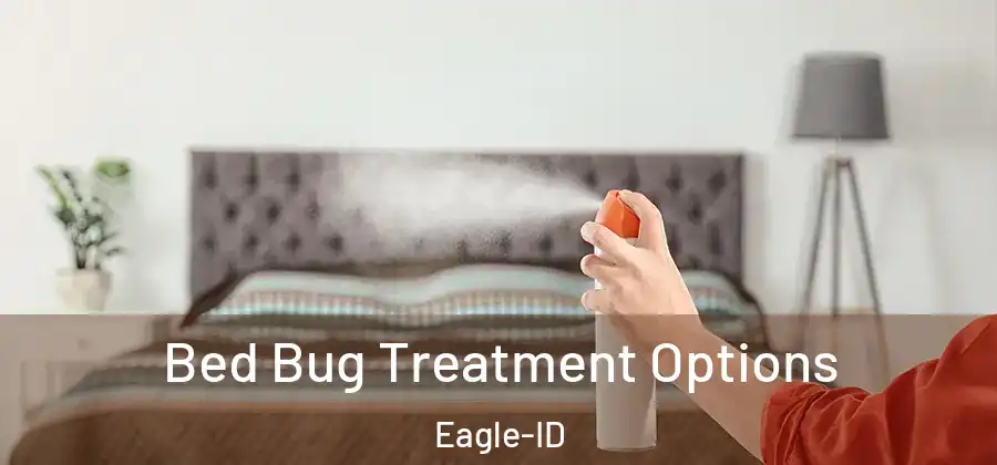  Bed Bug Treatment Options Eagle-ID