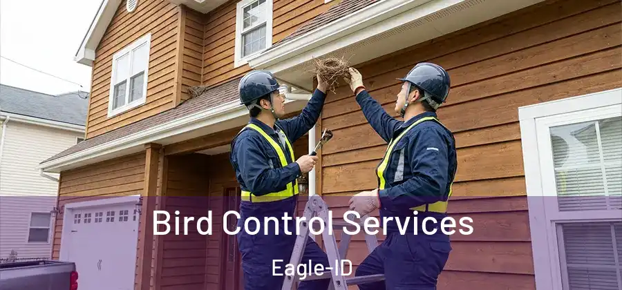  Bird Control Services Eagle-ID
