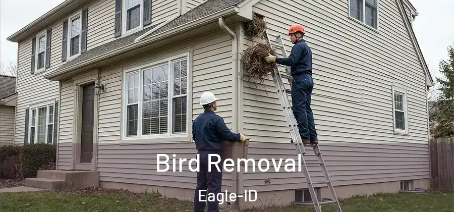 Bird Removal Eagle-ID