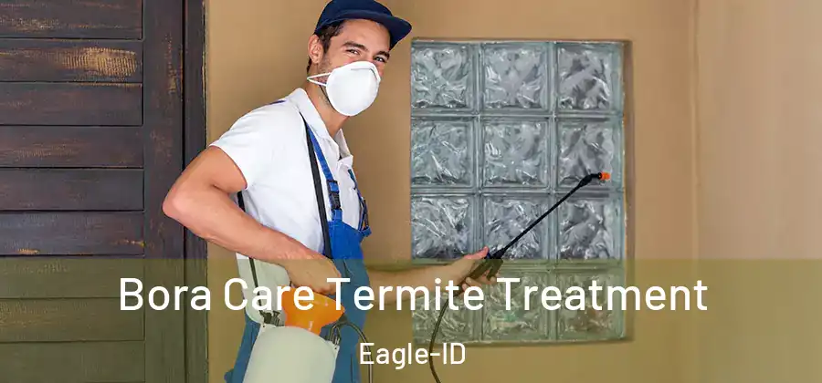 Bora Care Termite Treatment Eagle-ID