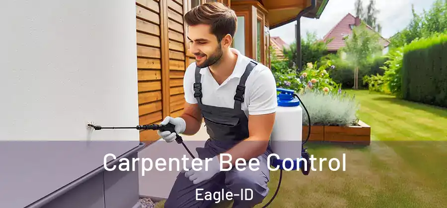Carpenter Bee Control Eagle-ID