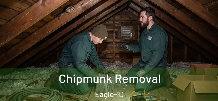 Chipmunk Removal Eagle-ID
