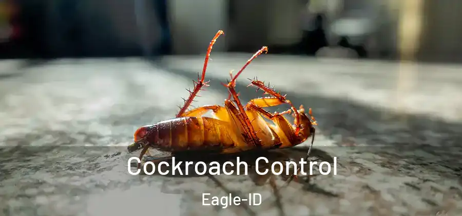  Cockroach Control Eagle-ID