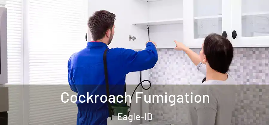 Cockroach Fumigation Eagle-ID