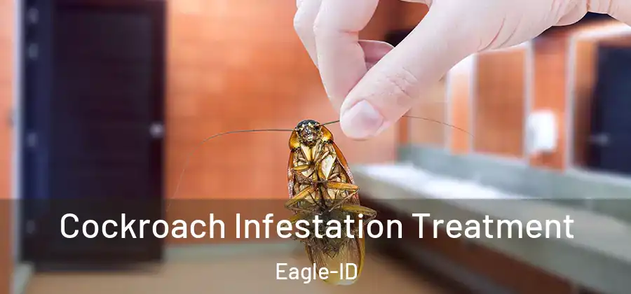 Cockroach Infestation Treatment Eagle-ID