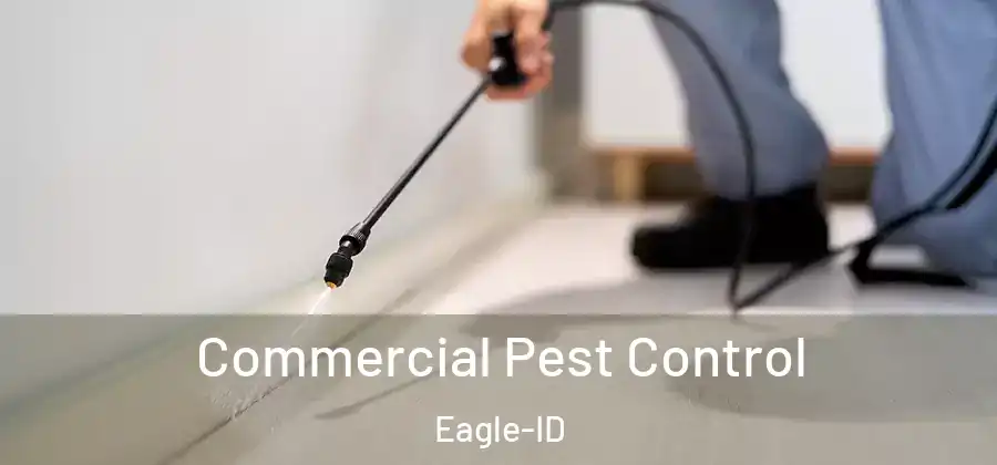 Commercial Pest Control Eagle-ID