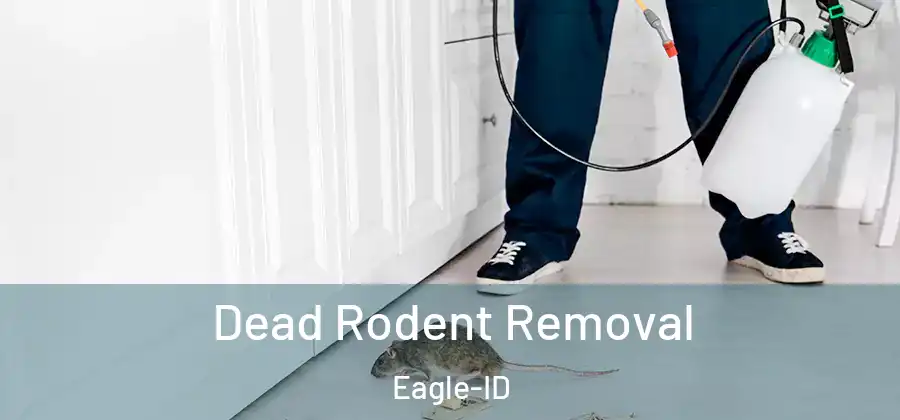 Dead Rodent Removal Eagle-ID
