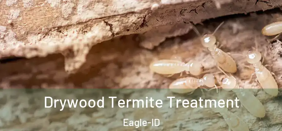  Drywood Termite Treatment Eagle-ID