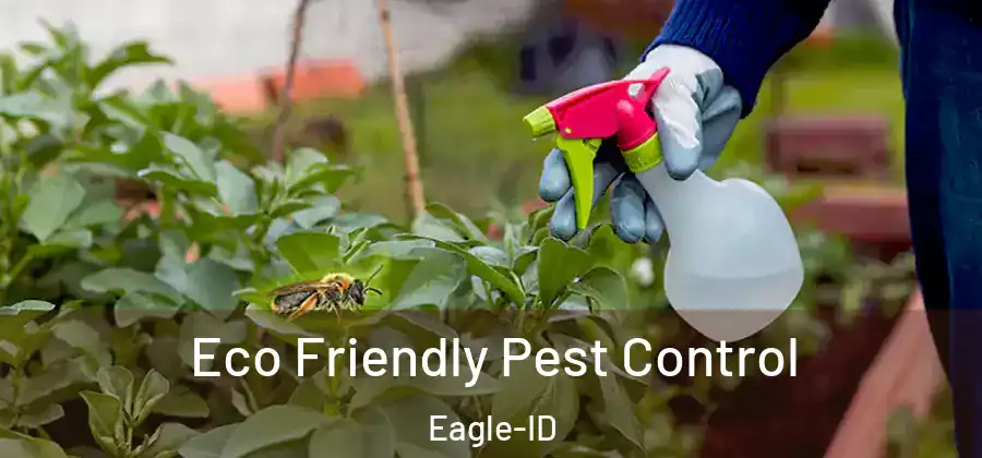 Eco Friendly Pest Control Eagle-ID