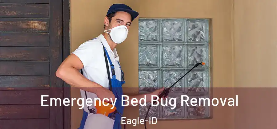  Emergency Bed Bug Removal Eagle-ID