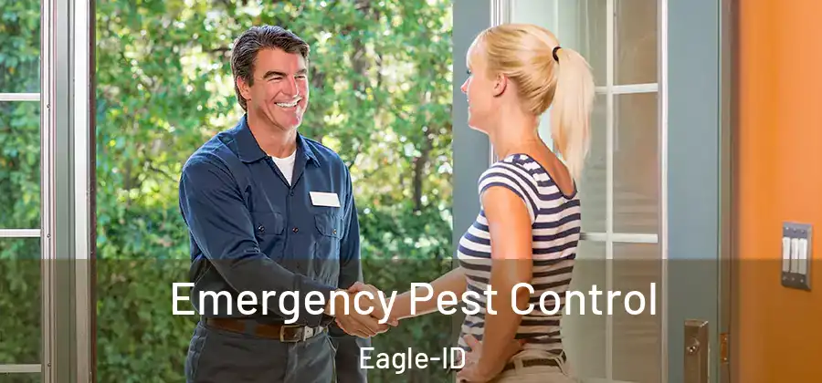  Emergency Pest Control Eagle-ID