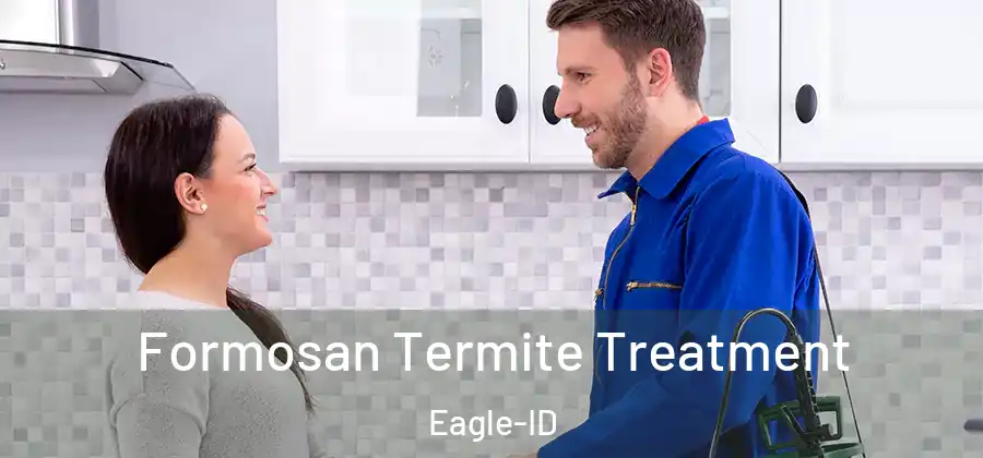 Formosan Termite Treatment Eagle-ID
