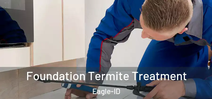 Foundation Termite Treatment Eagle-ID