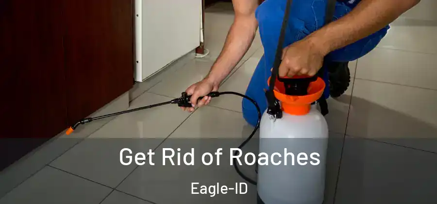 Get Rid of Roaches Eagle-ID