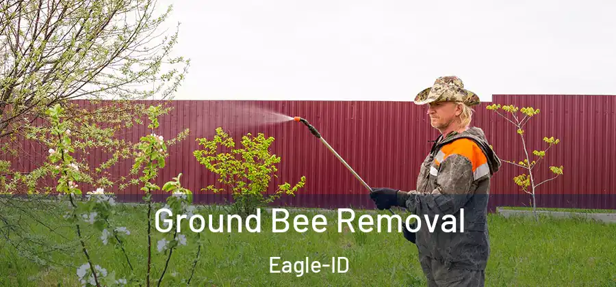 Ground Bee Removal Eagle-ID