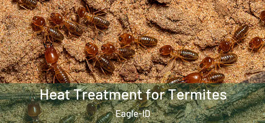  Heat Treatment for Termites Eagle-ID