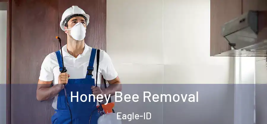 Honey Bee Removal Eagle-ID