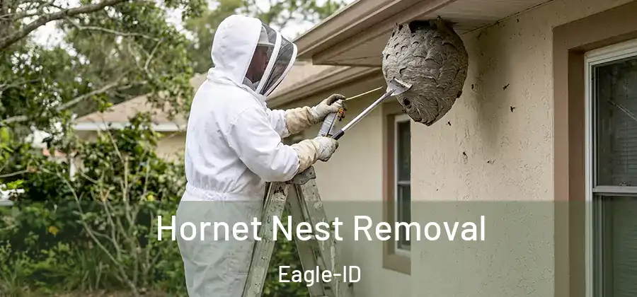 Hornet Nest Removal Eagle-ID