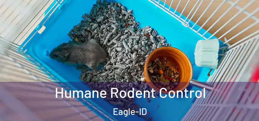 Humane Rodent Control Eagle-ID