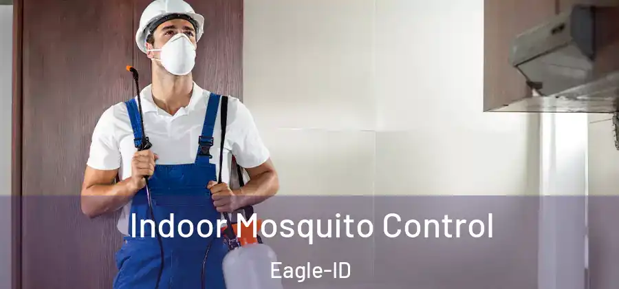 Indoor Mosquito Control Eagle-ID