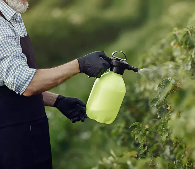 Your Proven Mosquito Treatment Company in Eagle, ID